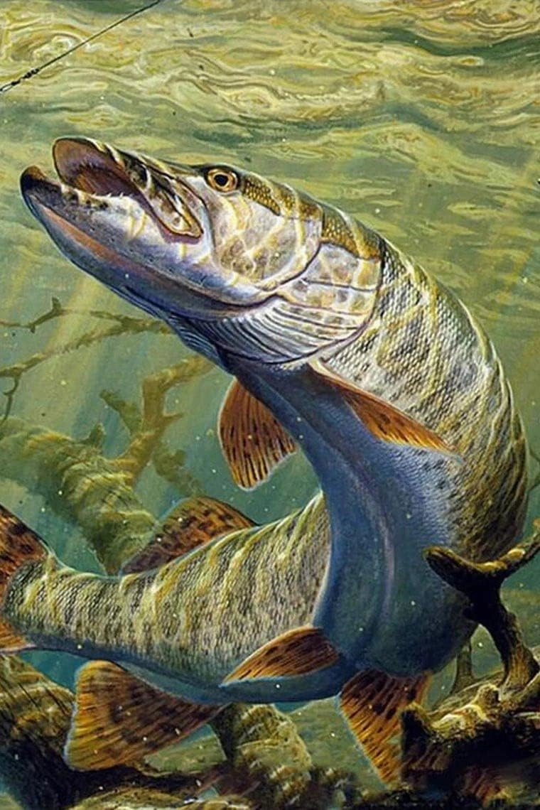 1000 Pieces Jigsaw Puzzle for Adults, Sea Fish Animal Wooden Jigsaw Puzzle, Exercise Memory Relieve Stress Game Jigsaw Puzzle Family Activities Decompression Gifts