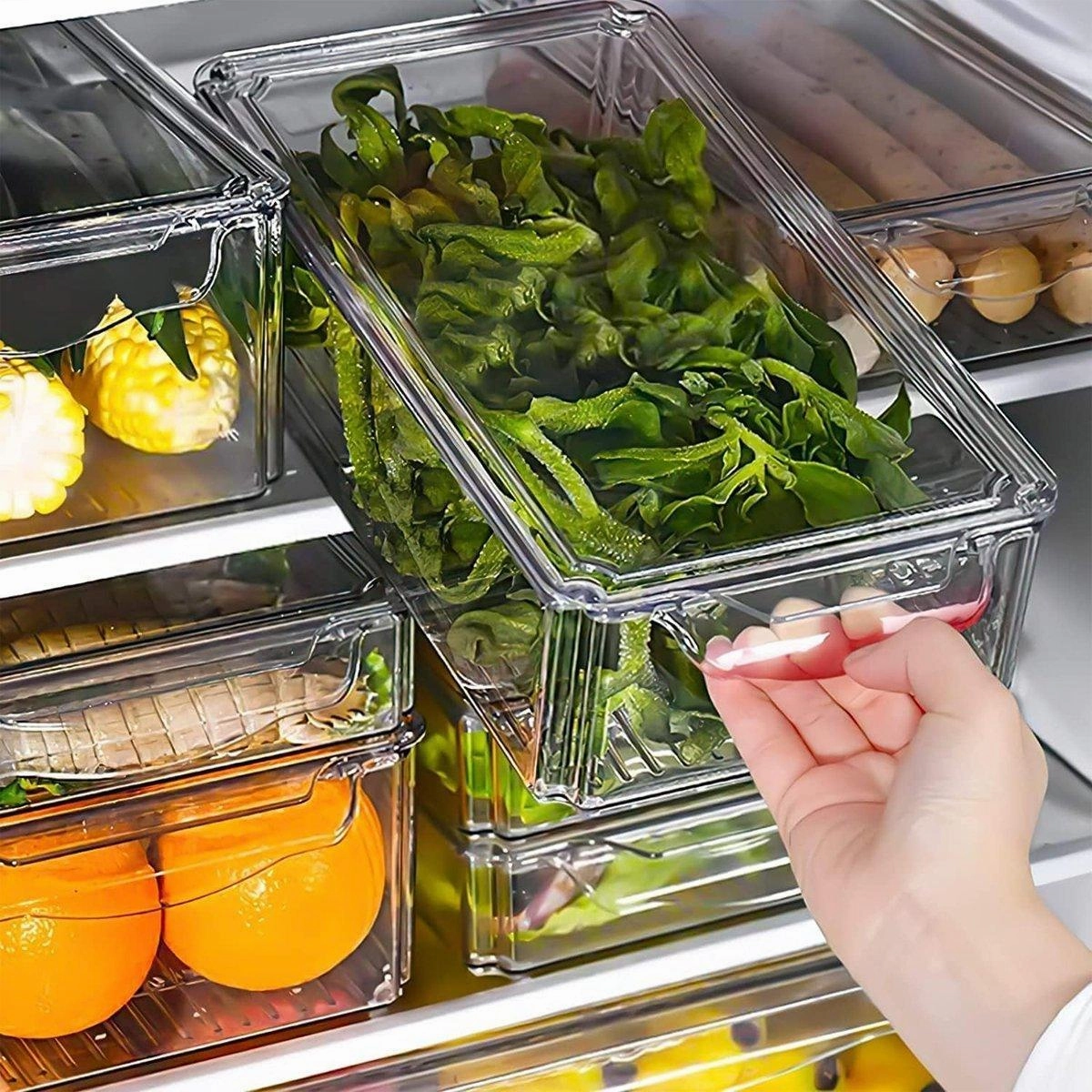 10PCS Clear PET Refrigerator Storage Box Food Grade Fruit Freezer Organizer Set