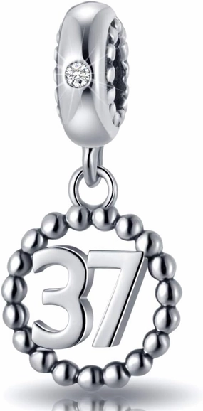16,17,18,19,20,21,22,24,25,26,30,32,33,35,37,40,49,50,60,69,77,80,88,99 Number Charms 925 Sterling Silver Pendants Beads Fit Pandora Bracelets/Necklace, Dangling Dangle Charm for Birthday/Anniversary/Meaningful Numbers
