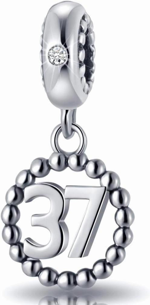 16,17,18,19,20,21,22,24,25,26,30,32,33,35,37,40,49,50,60,69,77,80,88,99 Number Charms 925 Sterling Silver Pendants Beads Fit Pandora Bracelets/Necklace, Dangling Dangle Charm for Birthday/Anniversary/Meaningful Numbers