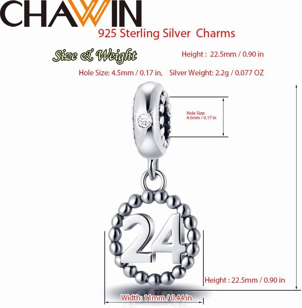 16,17,18,19,20,21,22,24,25,26,30,32,33,35,37,40,49,50,60,69,77,80,88,99 Number Charms 925 Sterling Silver Pendants Beads Fit Pandora Bracelets/Necklace, Dangling Dangle Charm for Birthday/Anniversary/Meaningful Numbers
