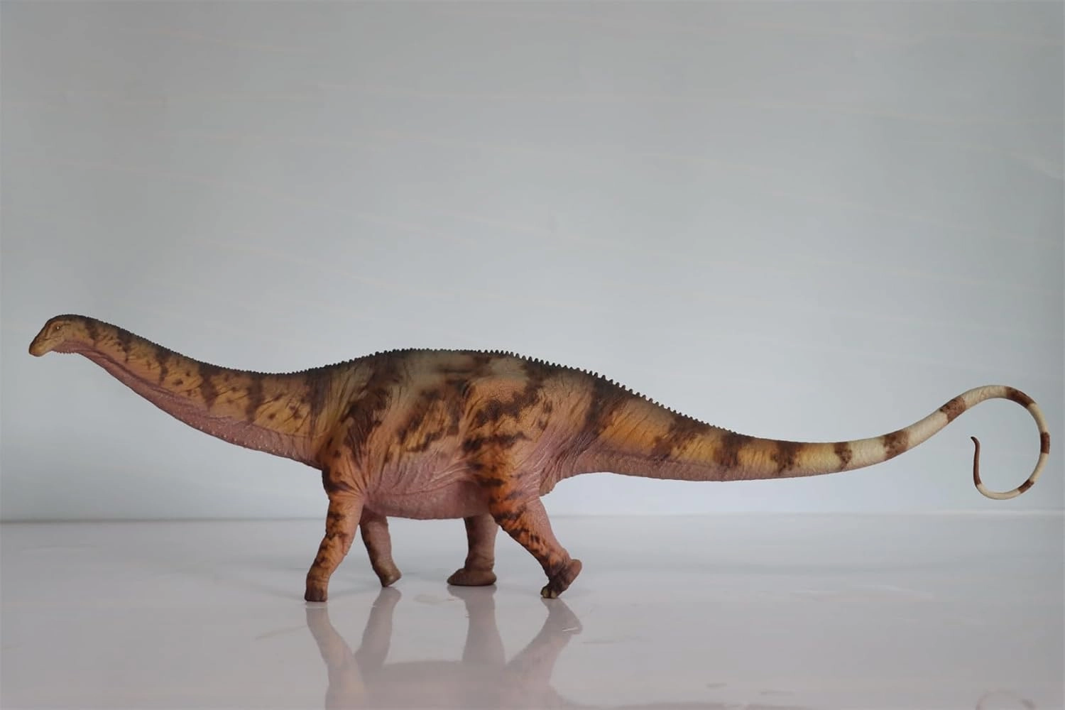 1:35 Scale Apatosaurus Figure Diplodocidae PVC Animal Model Collection Wonderful Decoration Realistic Simulation Dinosaur Gift for Adult. (Orange)