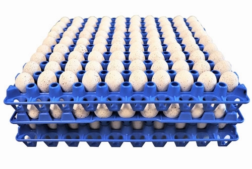 48 Pack of 90 Quail, Pigeon, Dove, & Bird Size Egg Trays