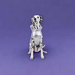 Alita Raincoat - Silver Metallic