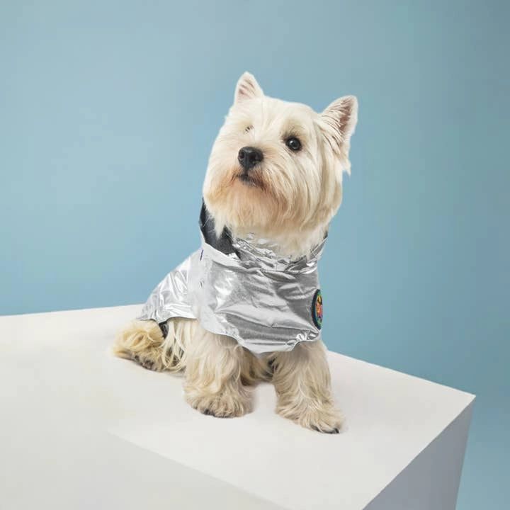 Alita Raincoat - Silver Metallic