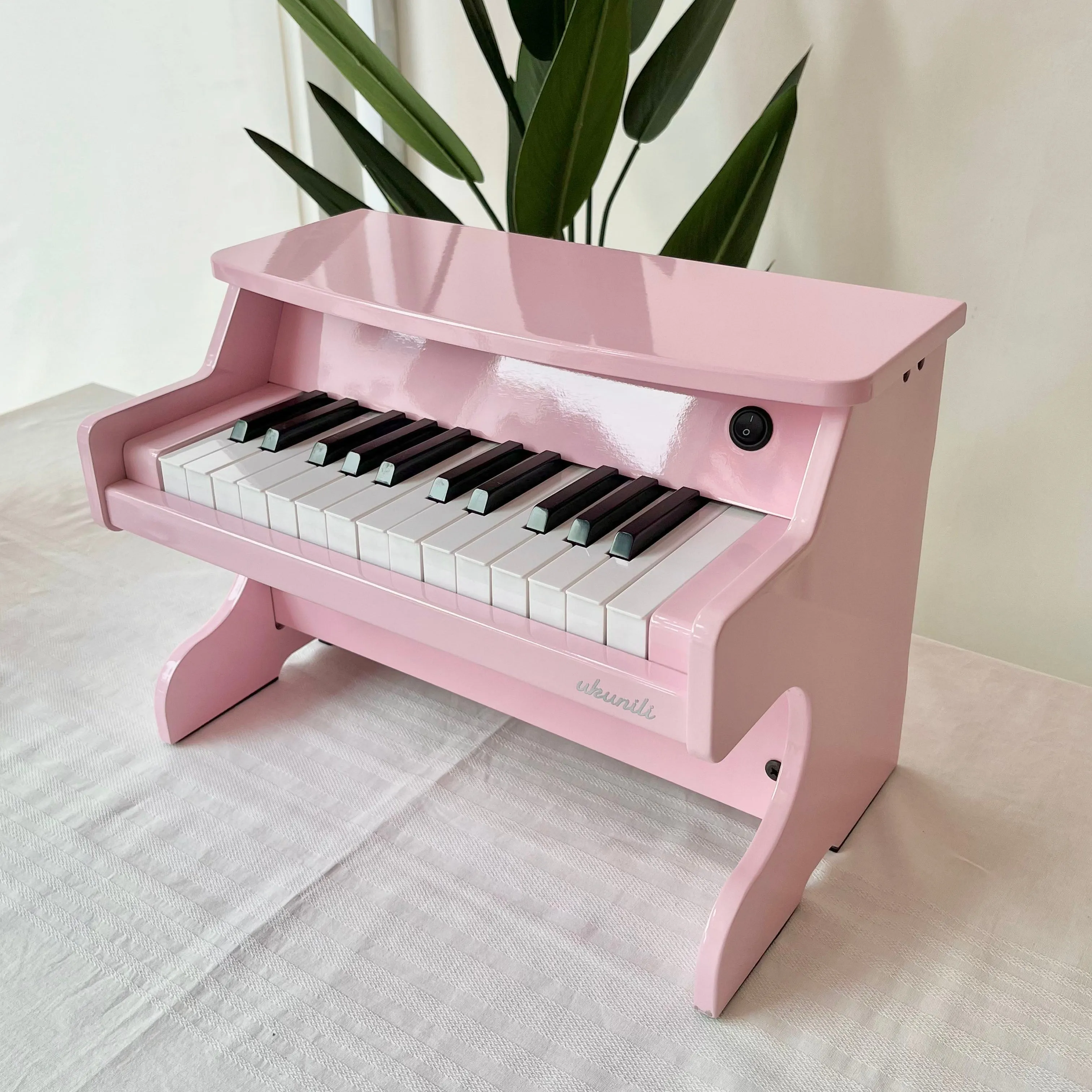 Baby Mini Piano