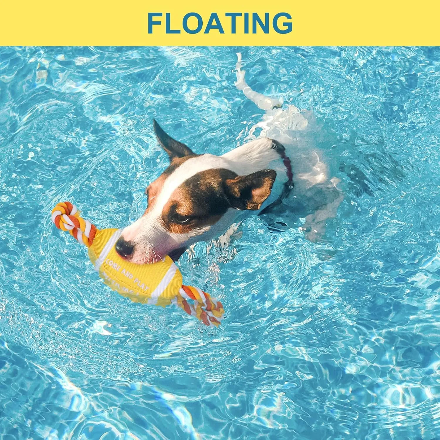 BEAUTYZOO Floating Dog Pool Toys for Small/Medium Dogs - Durable Chew-Resistant Squeaky Water Dog Toy with Rope, Interactive Fetch & Tug of War, Summer Swimming Beach Play (Oxford Fabric)