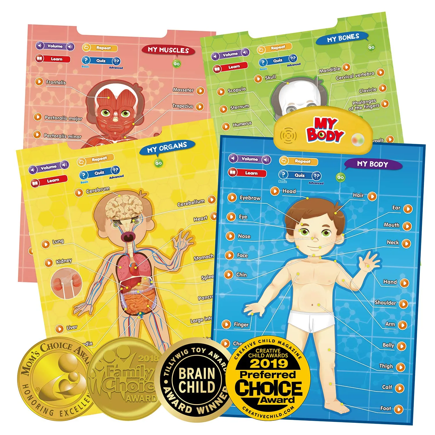 BEST LEARNING i-Poster My Body - Interactive Educational Human Anatomy Talking Game Toy System Poster to Learn Body Parts, Organs, Muscles and Bones for Kids Aged 5 to 12 Years Old