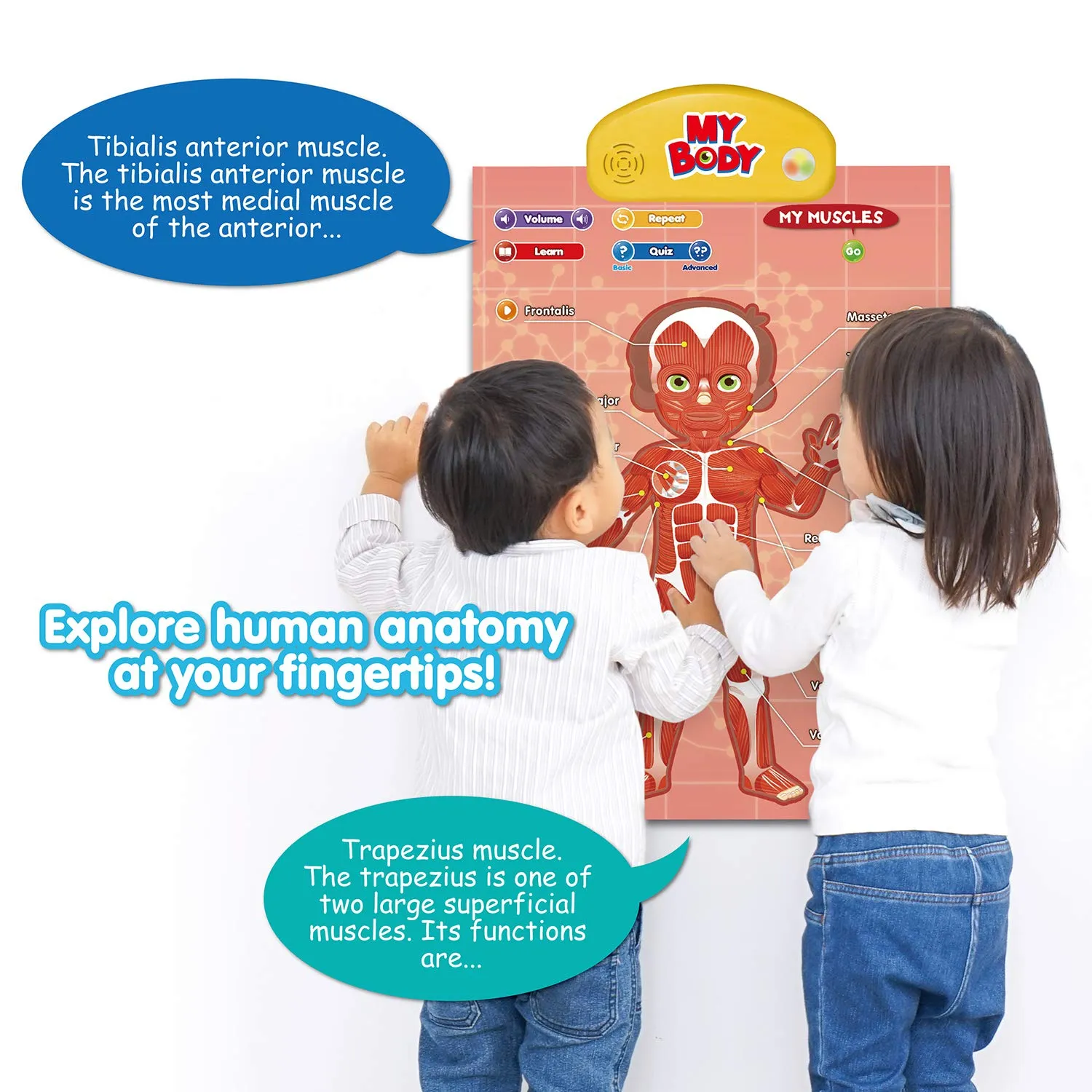 BEST LEARNING i-Poster My Body - Interactive Educational Human Anatomy Talking Game Toy System Poster to Learn Body Parts, Organs, Muscles and Bones for Kids Aged 5 to 12 Years Old