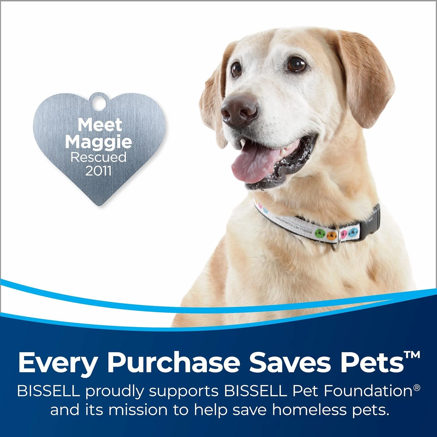 Bissell CleanView Upright Bagless Vacuum Cleaner with Active Wand, 3536