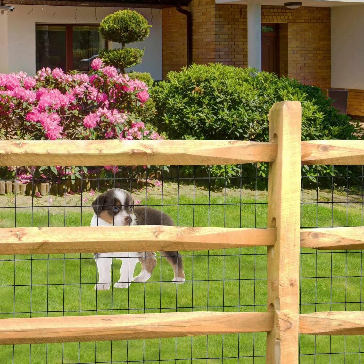 Black PVC Coated Welded Wire Fence 24 Inch x 50 Foot, 2 Inch x 3 Inch 16GA, Garden Border Fencing Roll Vinyl Coating Metal Wire Mesh for Yard Vegetable Plant Protection Poultry Netting
