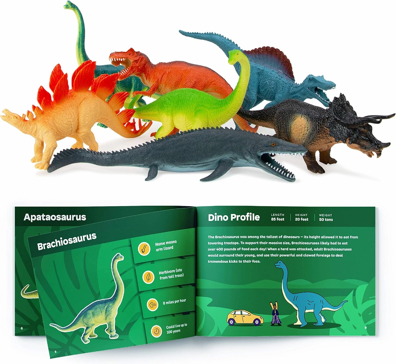 Boley 14-Pack Dinosaur Toys for Kids with Educational Booklet - 9" Realistic Dino Figures for Boys & Girls Ages 3  - Includes T-Rex, Raptor, Stegosaurus, Triceratops, and More