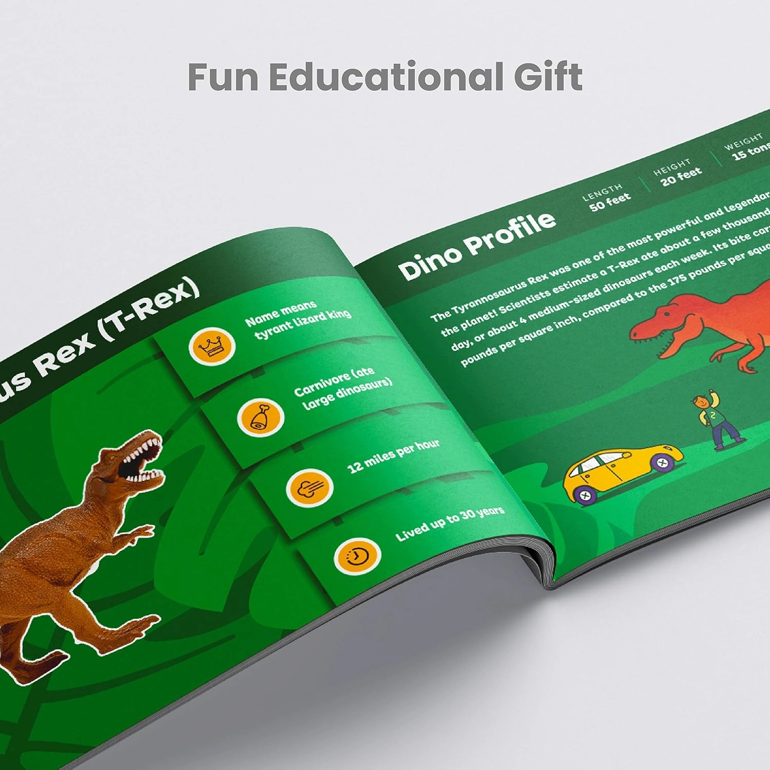 Boley 14-Pack Dinosaur Toys for Kids with Educational Booklet - 9" Realistic Dino Figures for Boys & Girls Ages 3  - Includes T-Rex, Raptor, Stegosaurus, Triceratops, and More