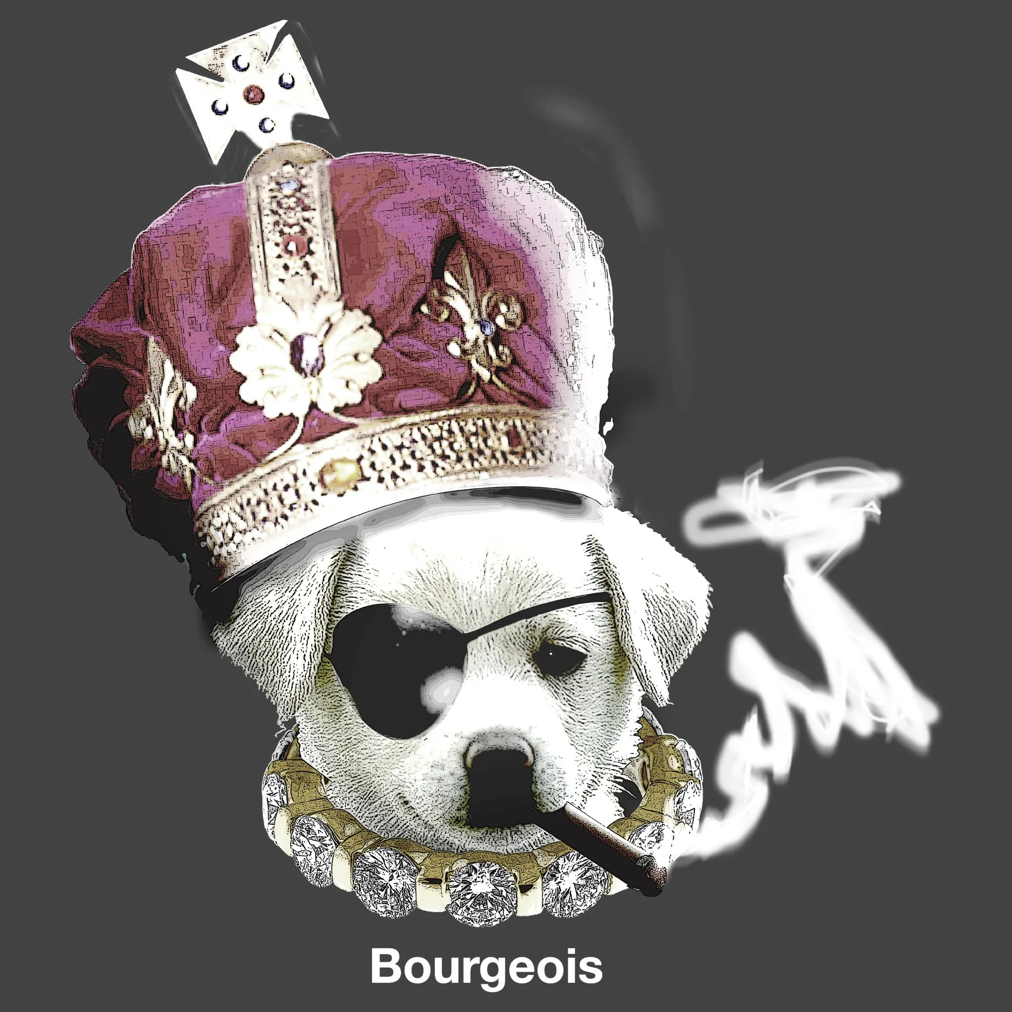 BOURGEOIS MEN'S HOODIE