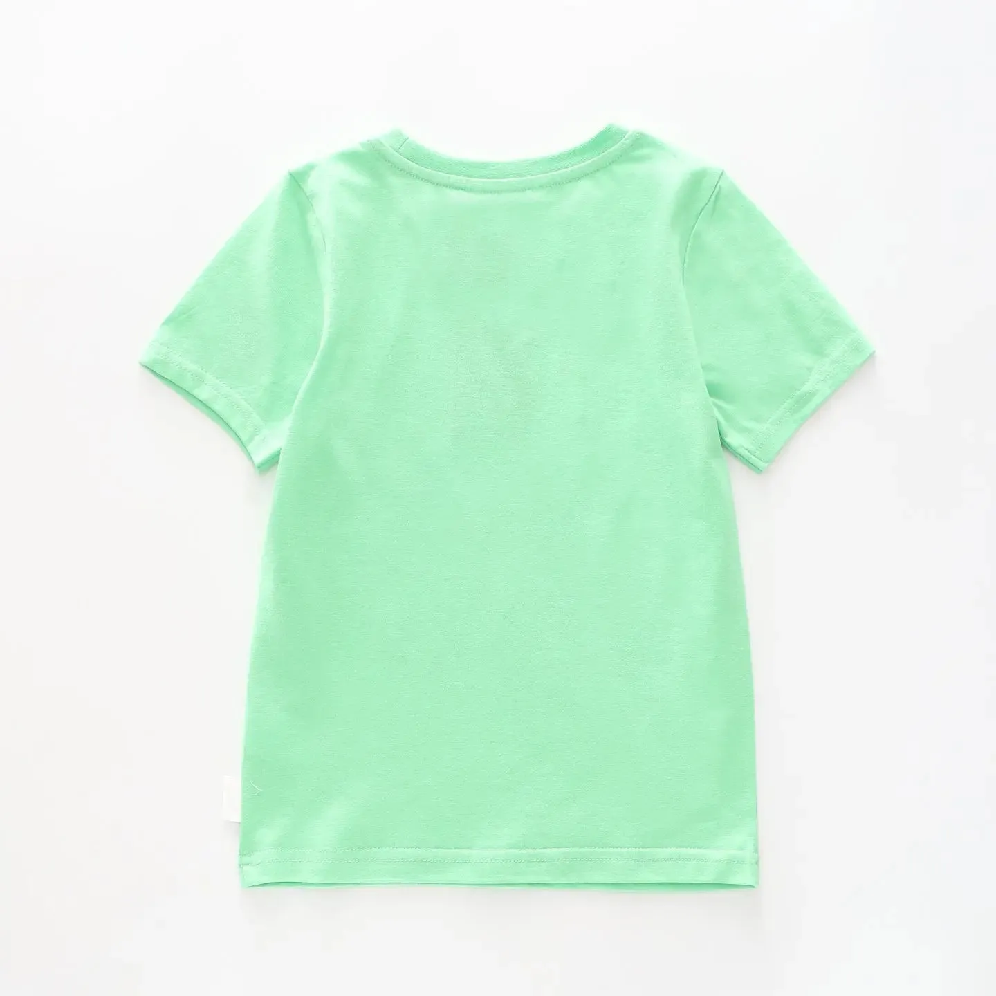 Boy's Green T-shirt With T-Rex Dinosaur Print