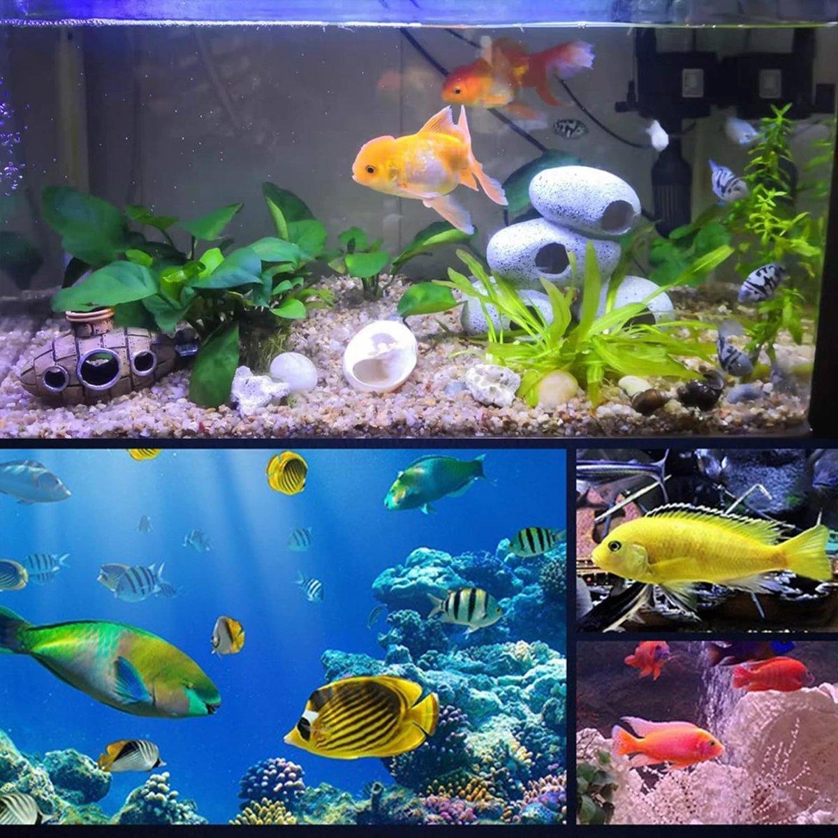 Clay Pot Aquarium Decoration Shrimp House Cichlid Breeding Tank Fish Nest