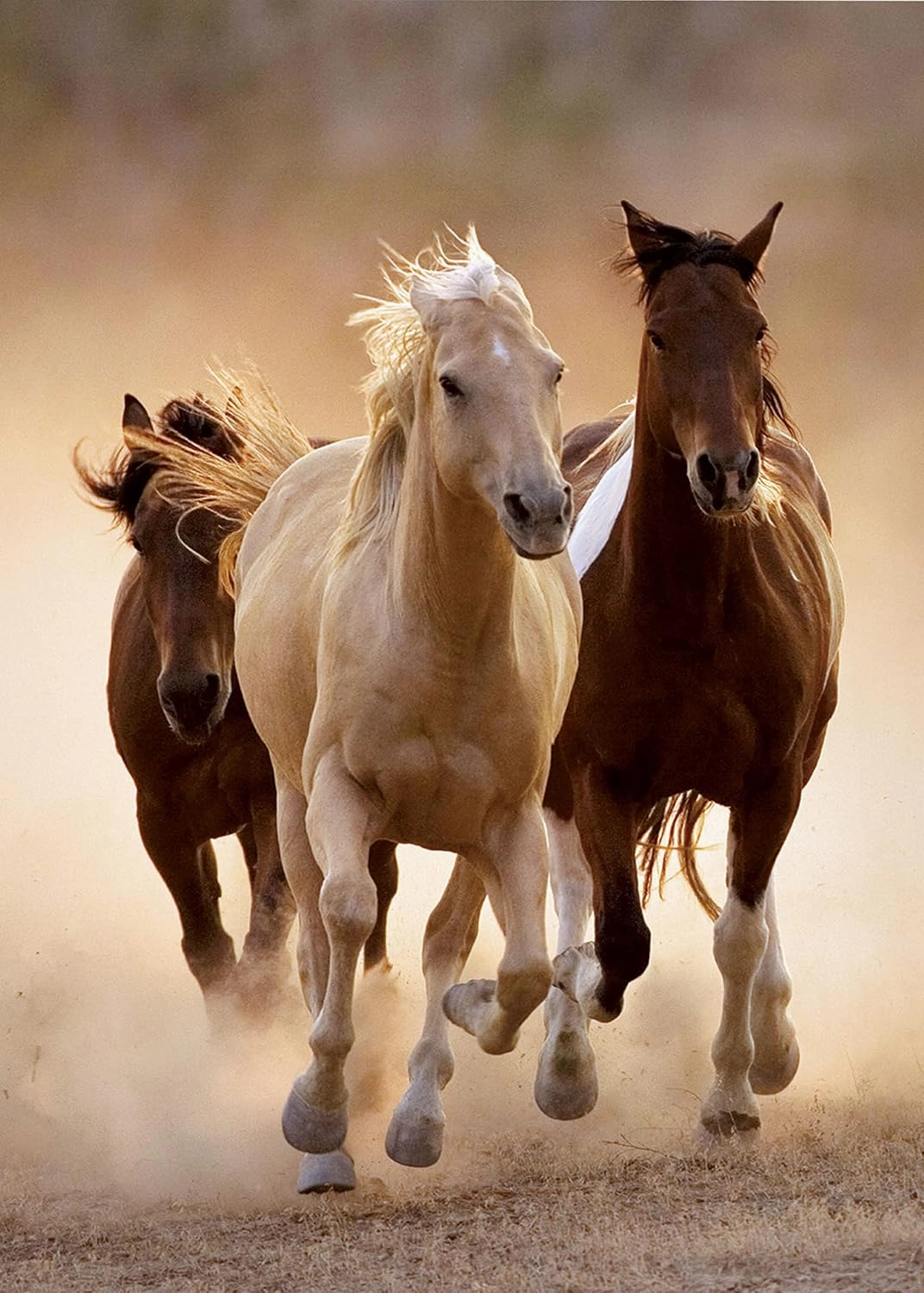 Clementoni Running Horses Puzzle (1000-Piece)