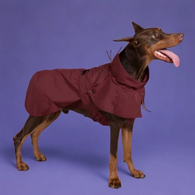 Cyberry Windbreaker - Burgundy