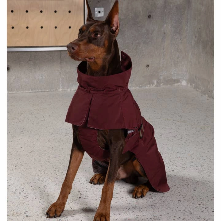 Cyberry Windbreaker - Burgundy