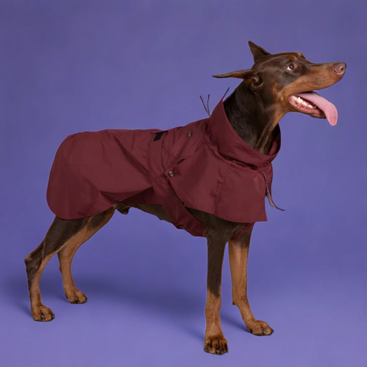 Cyberry Windbreaker - Burgundy
