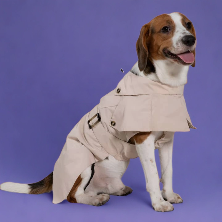 Cyberry Windbreaker - Tan