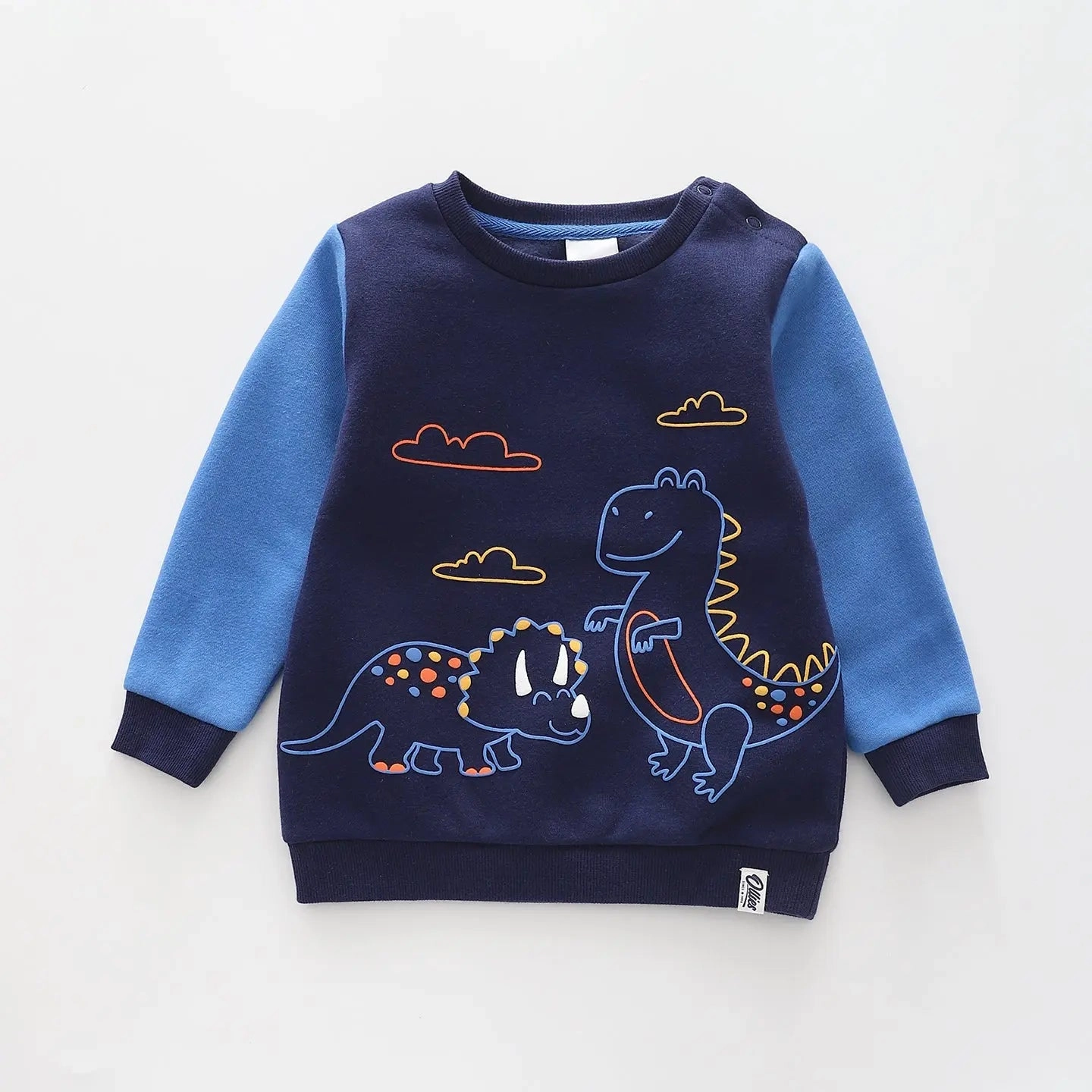 Dino Blues, Infant Boys Sweat Top