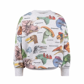 Dino Bright Sweatshirt