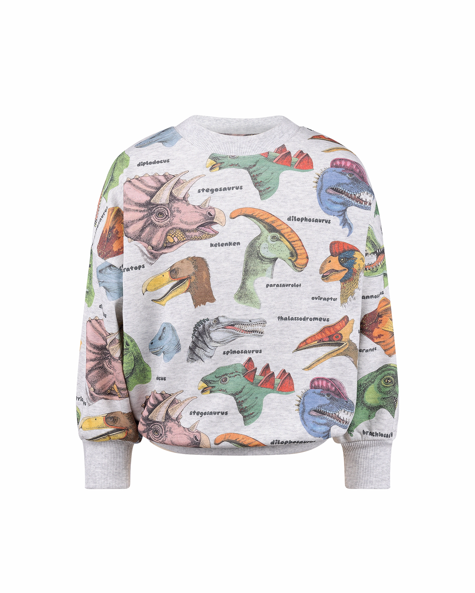 DINO BRIGHT SWEATSHIRT