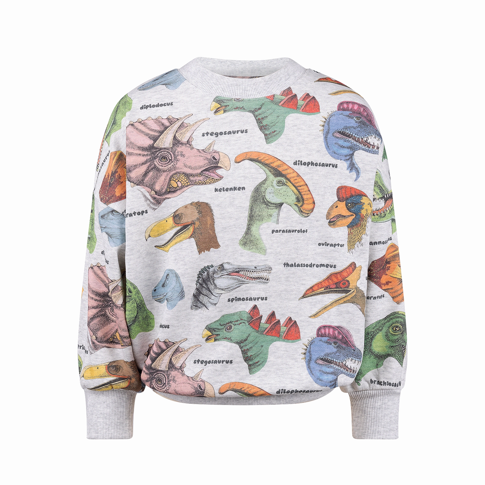Dino Bright Sweatshirt
