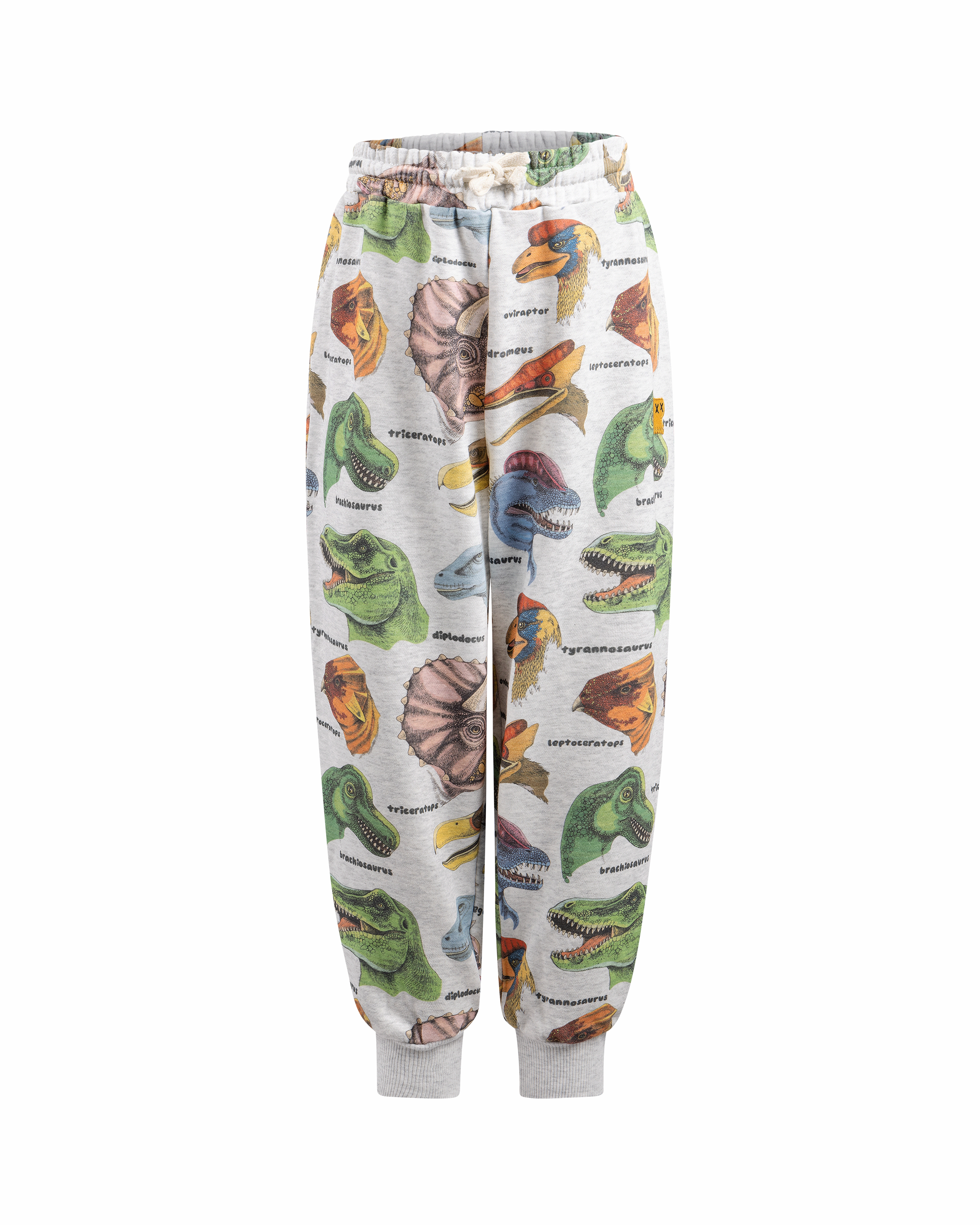 DINO BRIGHT TRACK PANTS