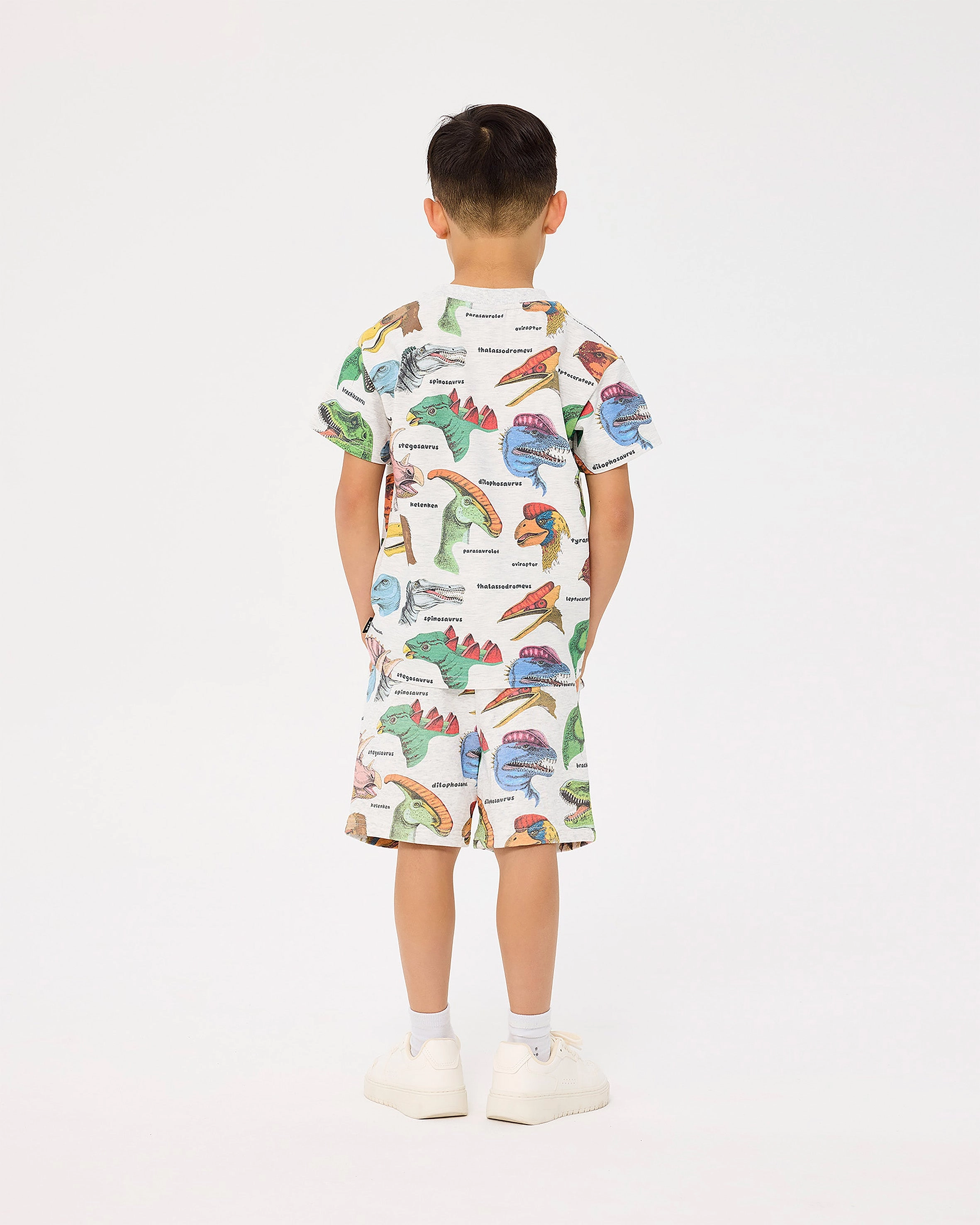 DINO BRIGHT TRACK SHORTS