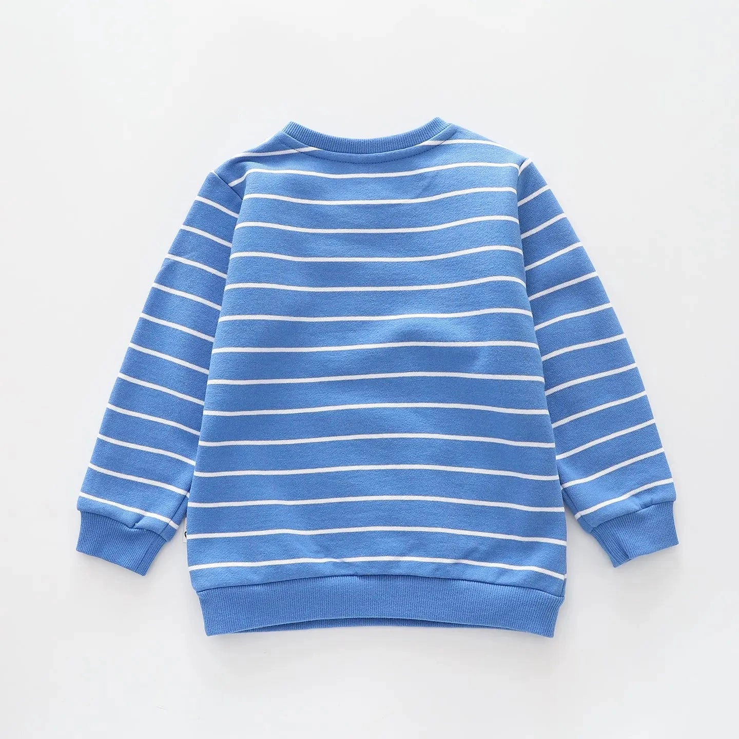 Dino Brights Stripes, Infant Boys Sweat Top