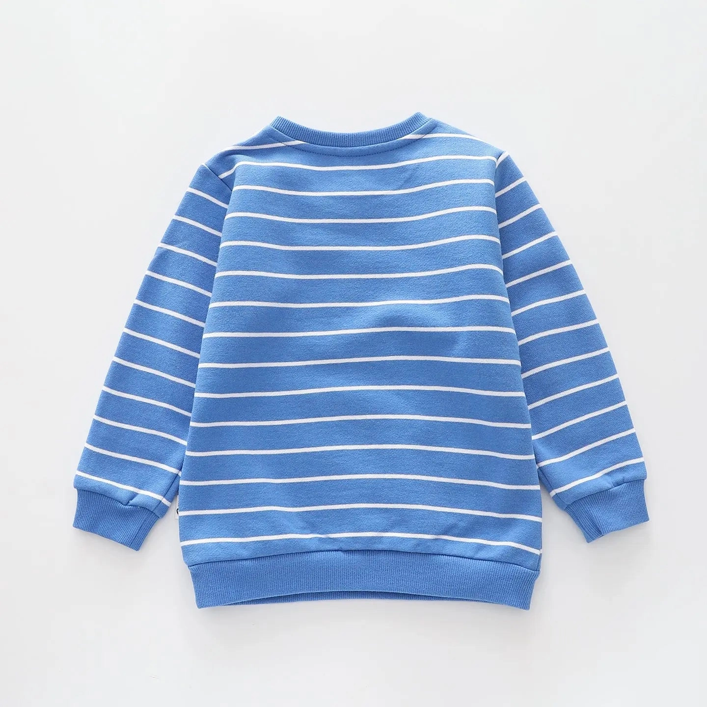 Dino Brights Stripes, Infant Boys Sweat Top