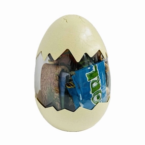 Dinosaur Egg