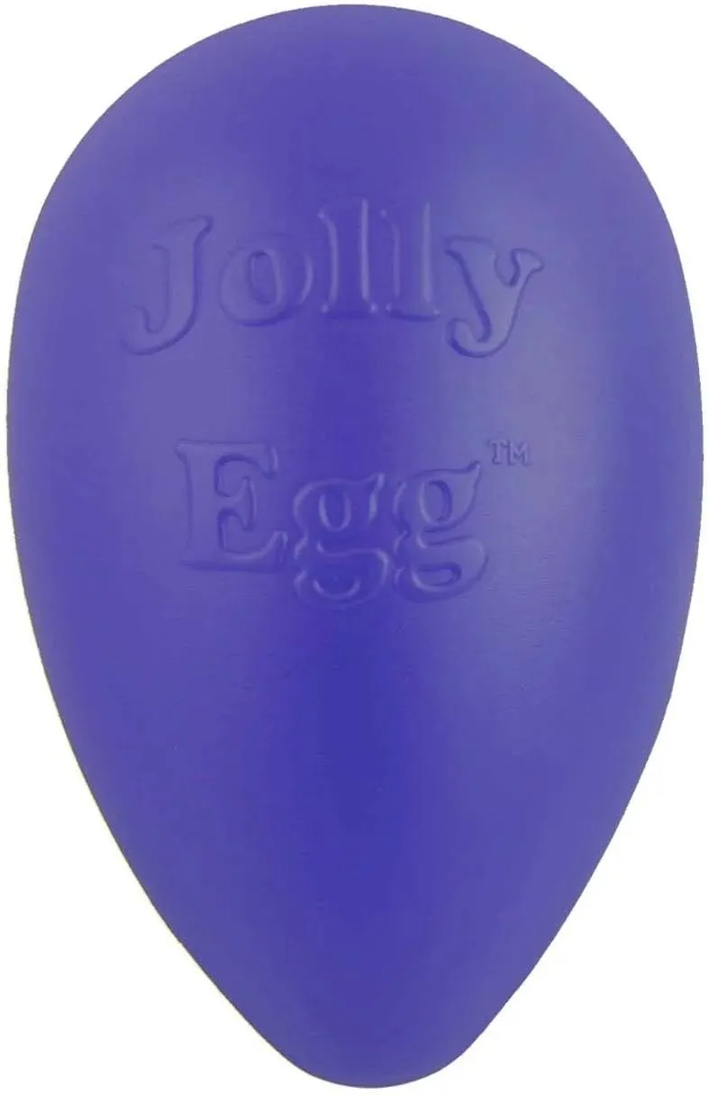 Dog Toy 8 Inch Hard Plastic Egg Shaped Jolly Interactive Fun Choose Color or Set (Red)