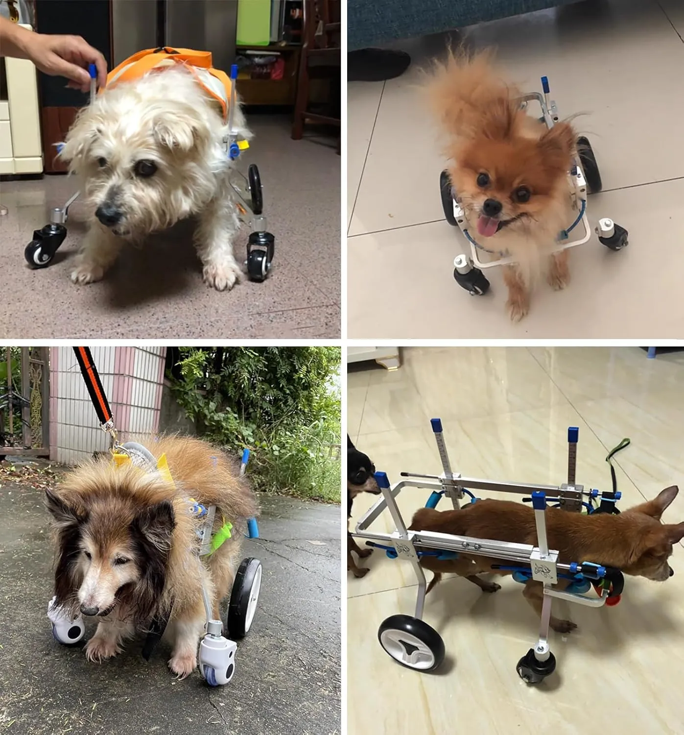 Dog Wheelchair Doggy Full Support Bike Trailer 4 Wheel, Old Carts for All Legs Medium Dogs, Weak Mobility Aid Trolley, Recover Large Pet