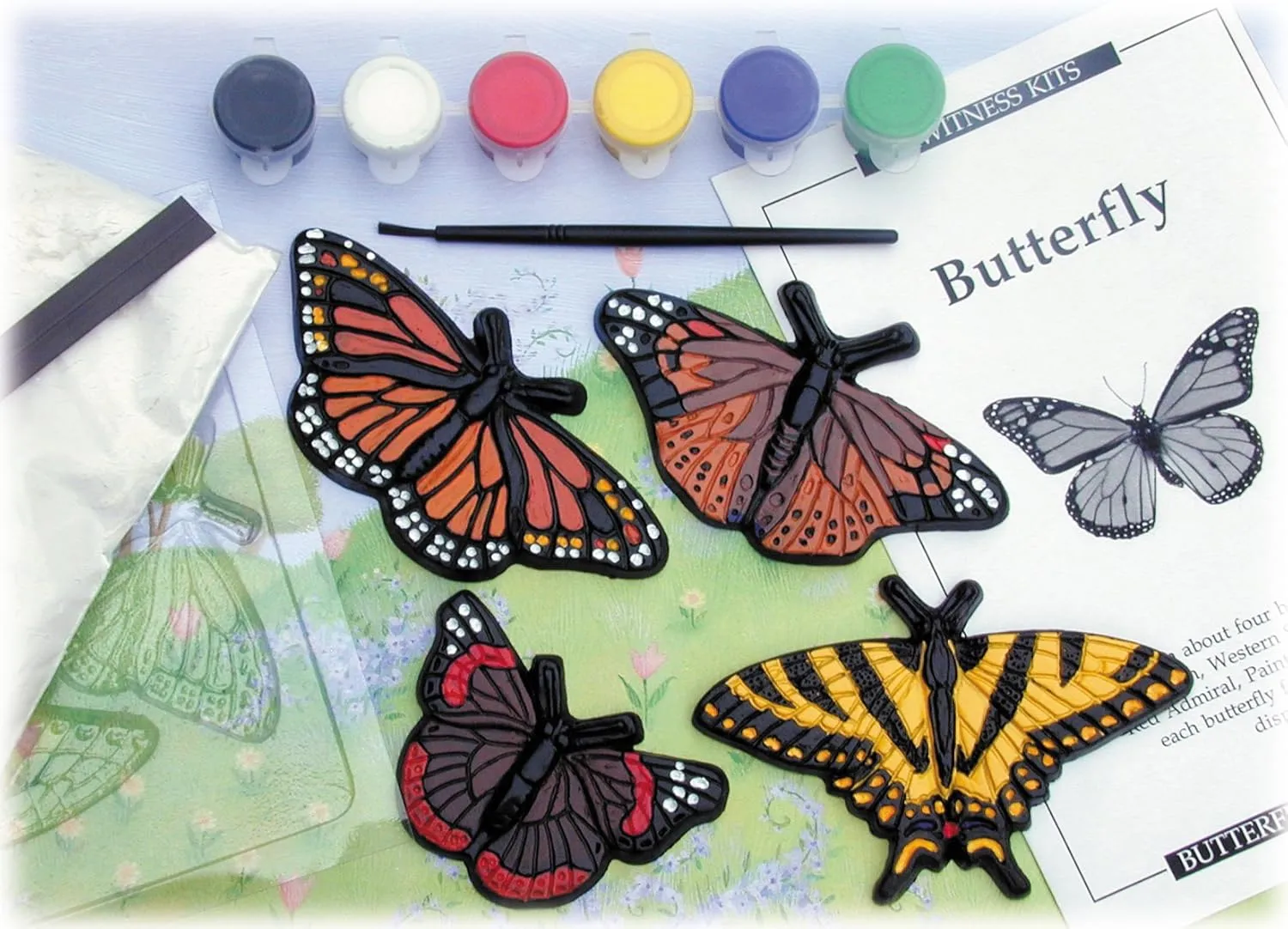 Eyewitness Kits Perfect Cast Butterfly Cast, Paint, Display and Learn Craft Kit