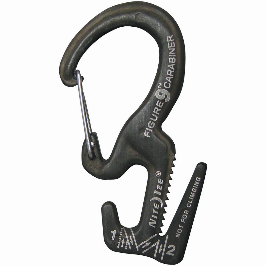 FIGURE 9