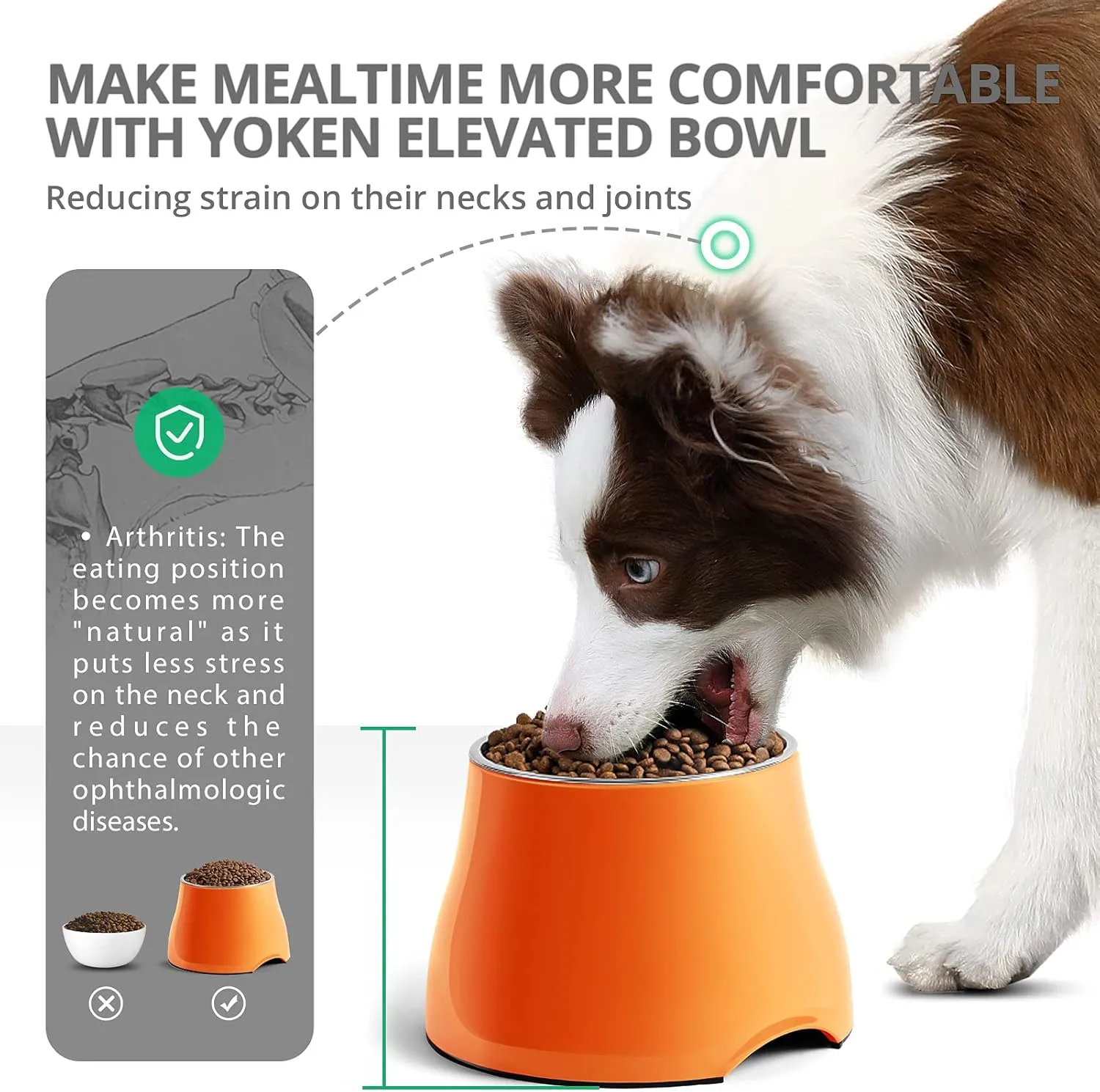 Fluffydream Elevated Dog Bowls,[Prevention of Vertebrae Disease][Super Non-Slip] Dog Bowl with Stainless Steel Bowl,High Capacity,forMedium/Small Size Dogs