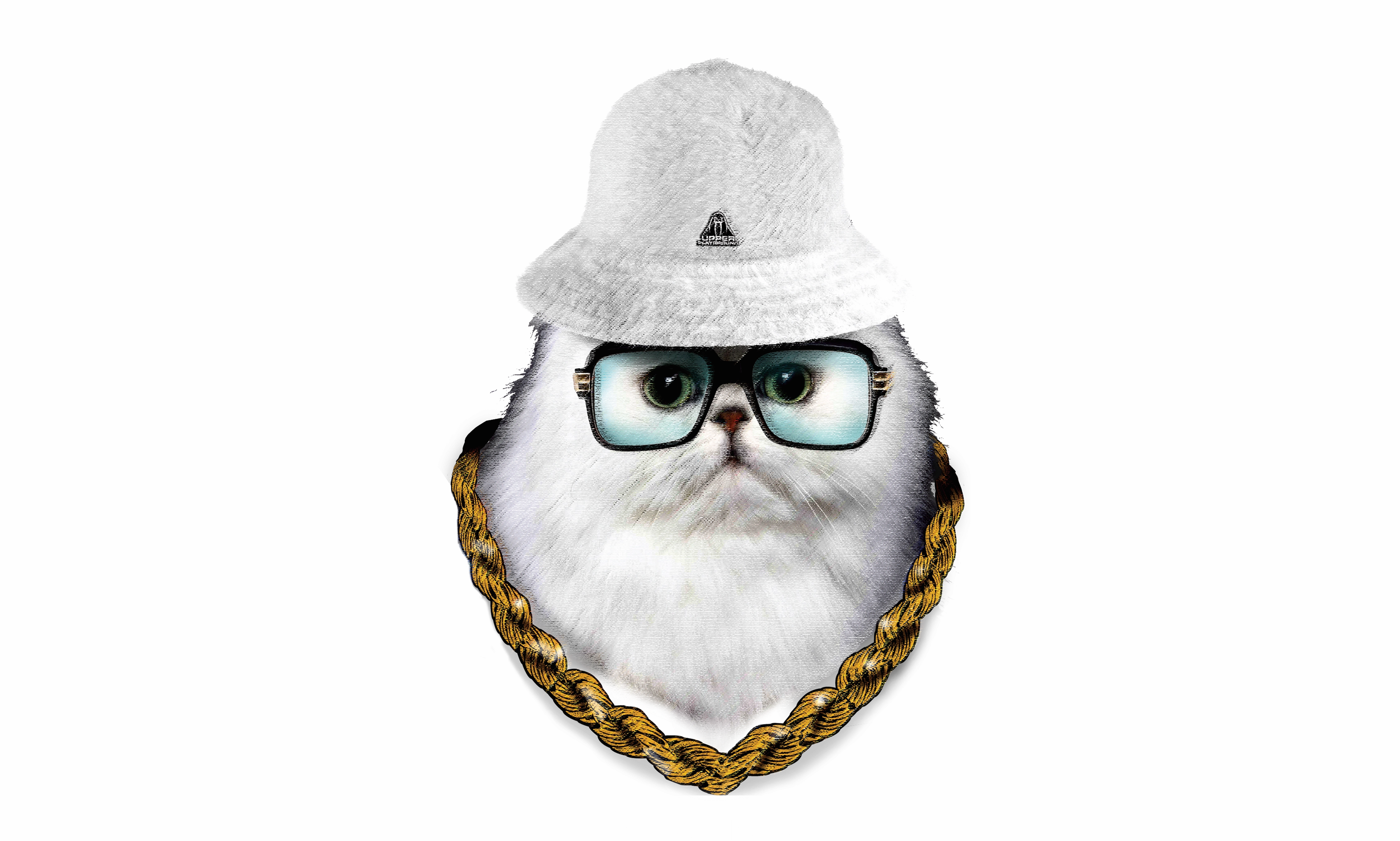 HELLA FRESH MEN'S HOODIE