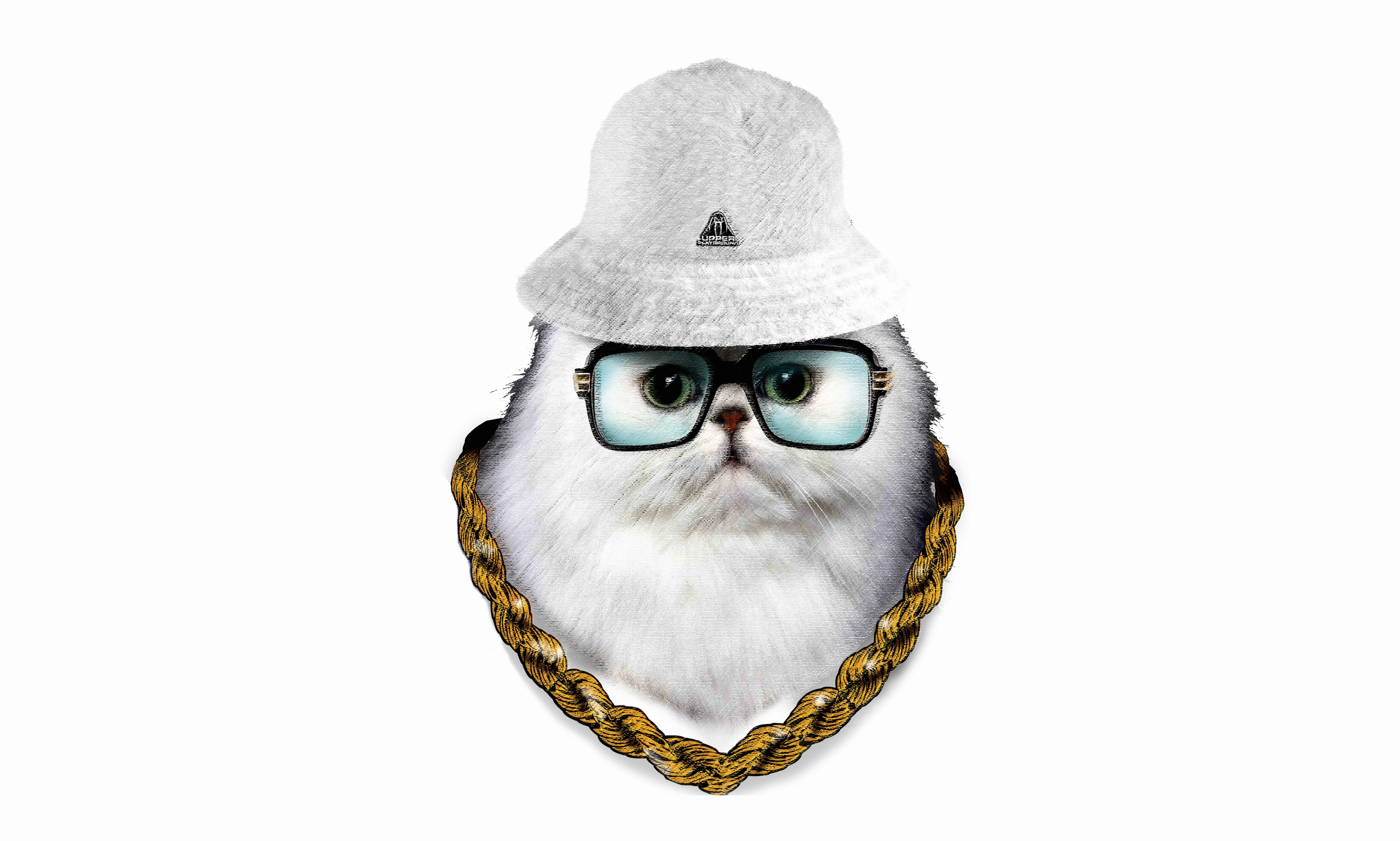 HELLA FRESH MEN'S HOODIE