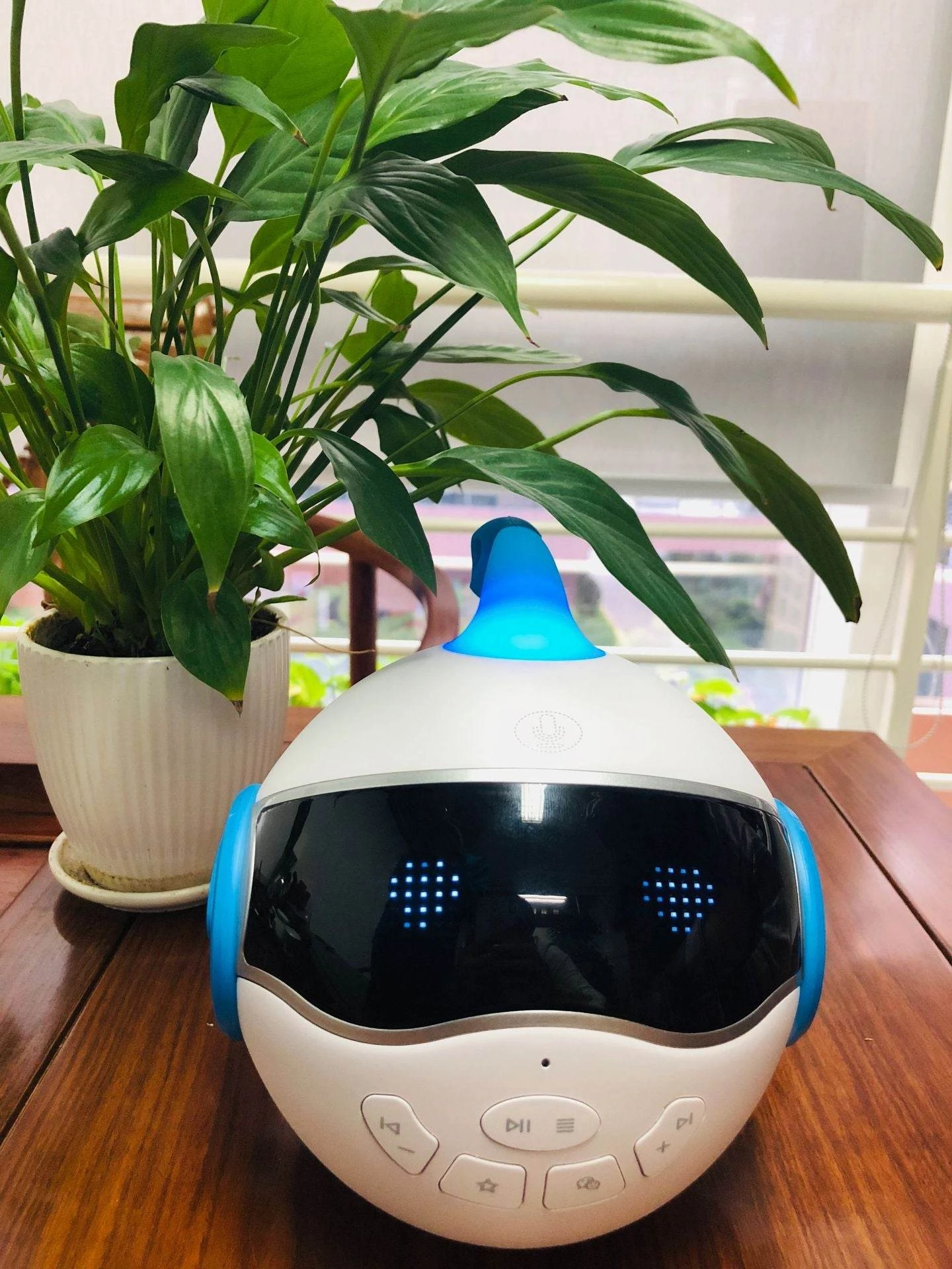 Intelligent companion robot