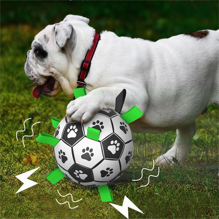 Interactive Dog Soccer Ball