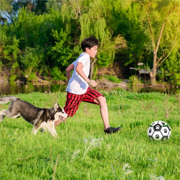 Interactive Dog Soccer Ball