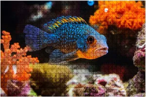 Jigsaw Puzzles 1000 Pieces for Adult Aquarium colourfull Fishes Dark deep Blue Water Puzzle Game for Family Wooden Puzzle Toy Educational Games Puzzles for Home Decor