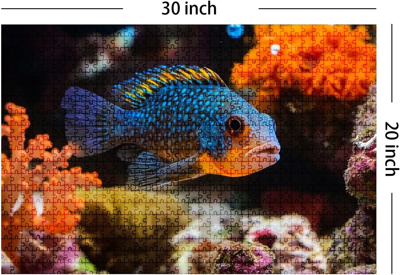 Jigsaw Puzzles 1000 Pieces for Adult Aquarium colourfull Fishes Dark deep Blue Water Puzzle Game for Family Wooden Puzzle Toy Educational Games Puzzles for Home Decor
