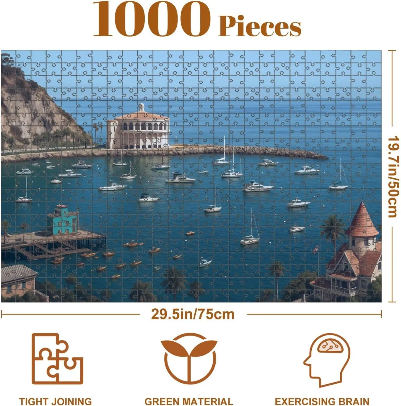 Jigsaw Puzzles 1000 Pieces for Adult Catalina Island Fishing Port Pictures Royalty Free Photos Puzzle Game for Family Wooden Puzzle Toy Educational Games Puzzles for Home Decor