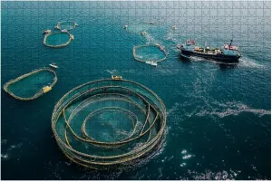 Jigsaw Puzzles 1000 Pieces for Adult Drone View Fish Farms Sea Puzzle Game for Family Wooden Puzzle Toy Educational Games Puzzles for Home Decor