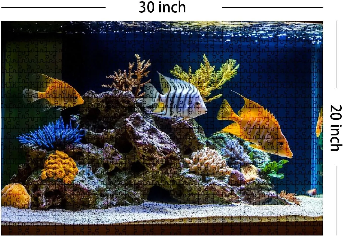 Jigsaw Puzzles 1000 Pieces for Adult Freshwater Aquarium Pseudo sea Style aquadesign Aquarium Puzzle Game for Family Wooden Puzzle Toy Educational Games Puzzles for Home Decor