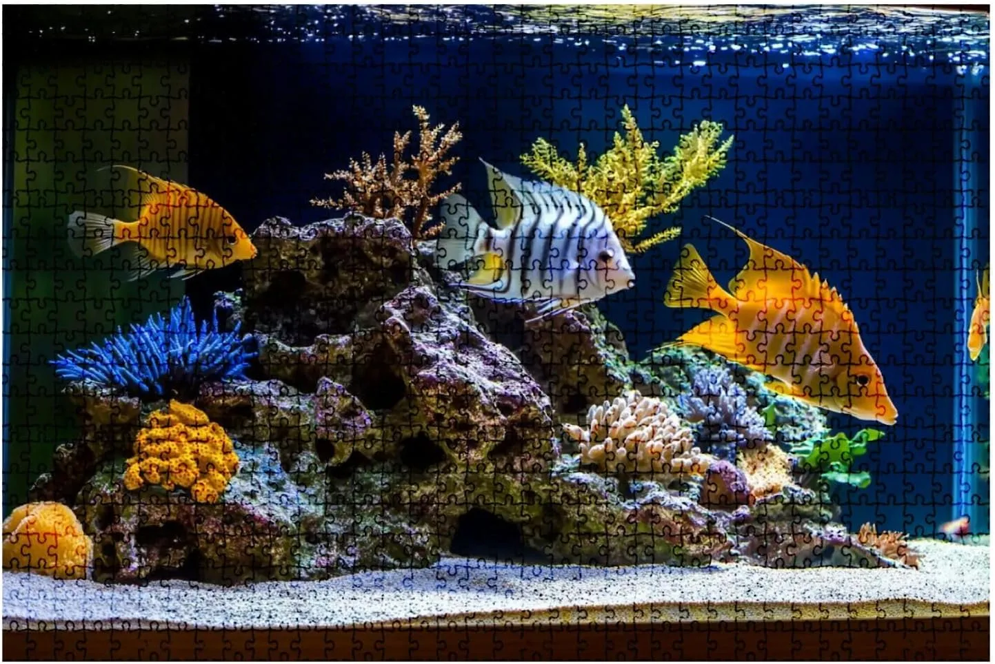 Jigsaw Puzzles 1000 Pieces for Adult Freshwater Aquarium Pseudo sea Style aquadesign Aquarium Puzzle Game for Family Wooden Puzzle Toy Educational Games Puzzles for Home Decor